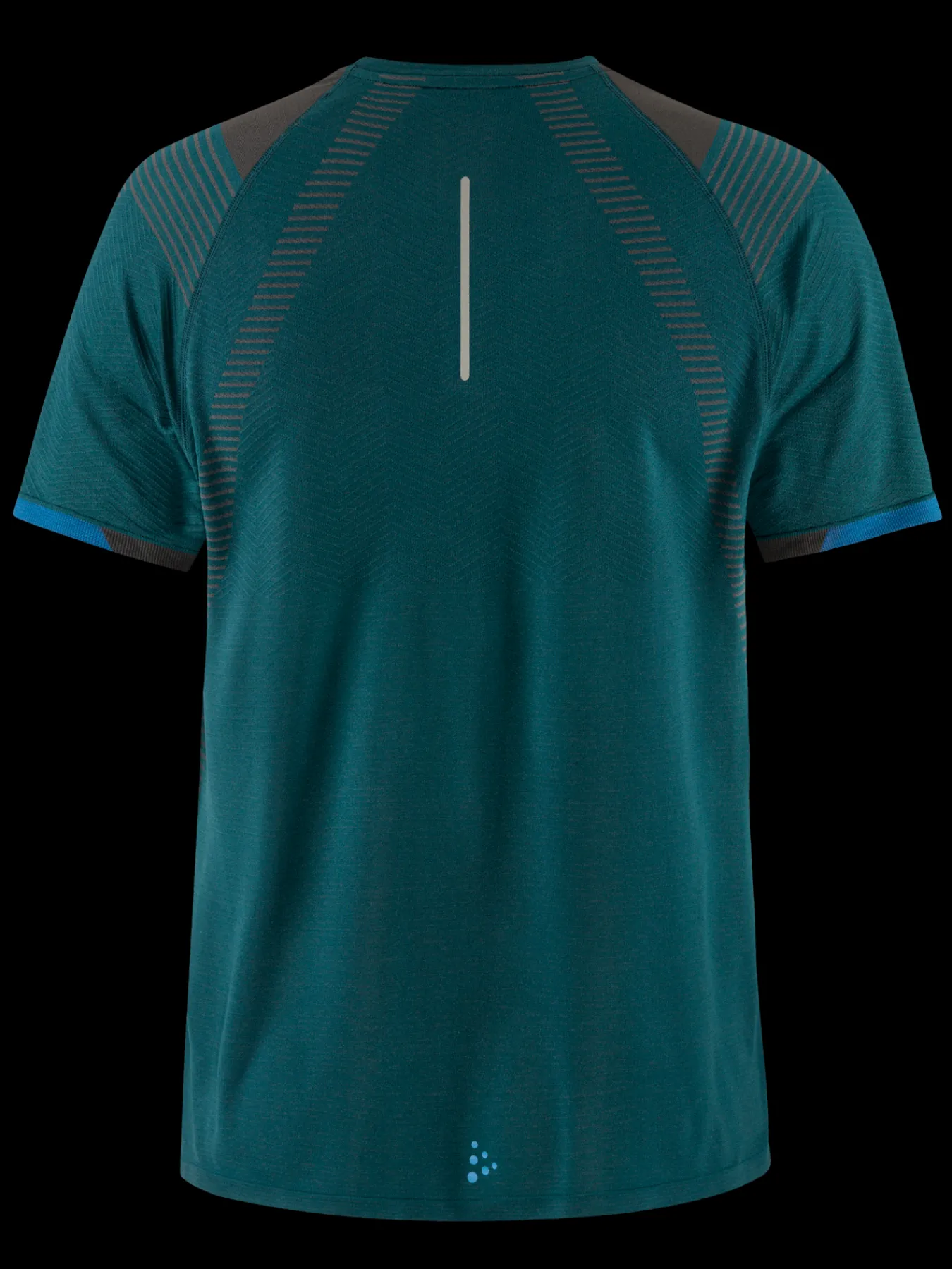 T-Skjorter & Singleter|Løping>Craft Sportswear PRO Trail Fuseknit SS Tee M Alfa