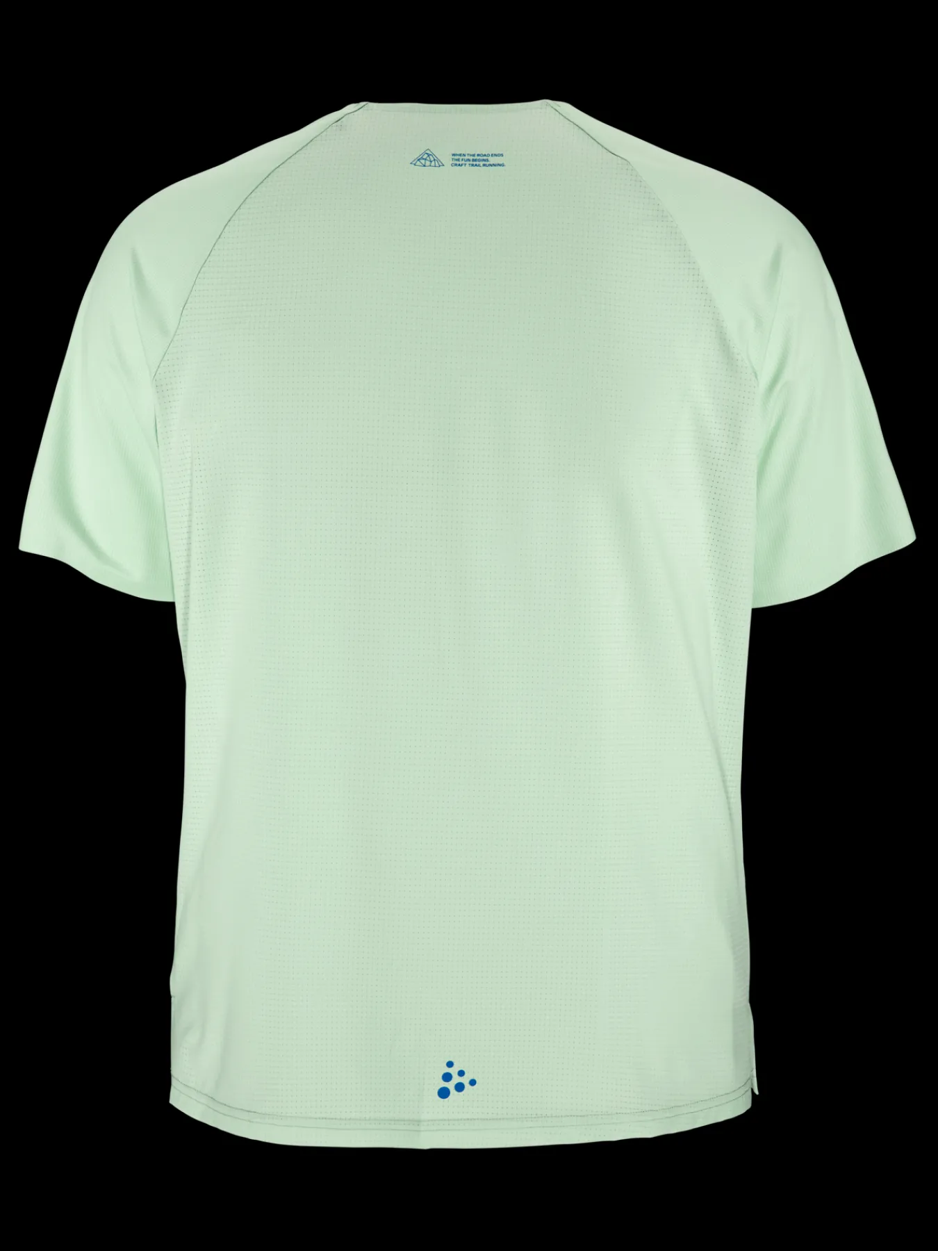 T-Skjorter & Singleter|Løping>Craft Sportswear PRO Trail SS Tee M Plexi